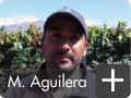 Marcelo Aguilera